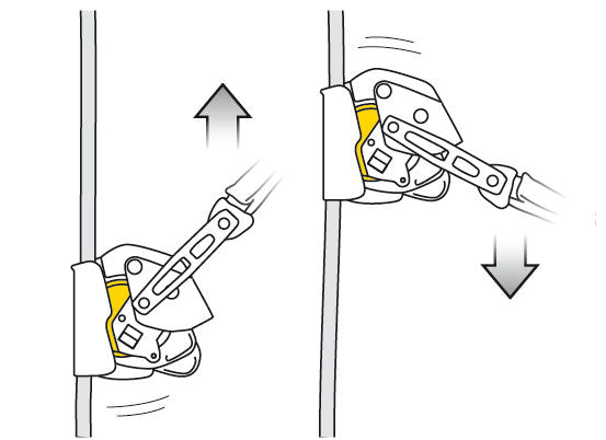 Petzl ASAP LOCK + ASAP'SORBER AXESS